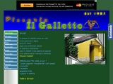 Dettagli Pizzeria Il Galletto