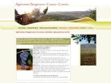 Dettagli Agriturismo Sangiovanni