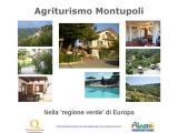 Dettagli Agriturismo Montupoli