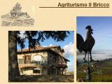 Dettagli Trattoria Agriturismo Il Bricco