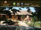Dettagli Agriturismo Crete Gialle