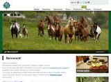 Dettagli Agriturismo Falode