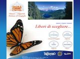 Dettagli Ristorante Il Catturanino